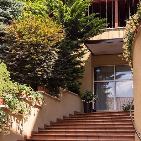 Pensiunea Europa Târgu-Mureş Exteriér fotografie